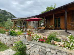 Guest House Mare